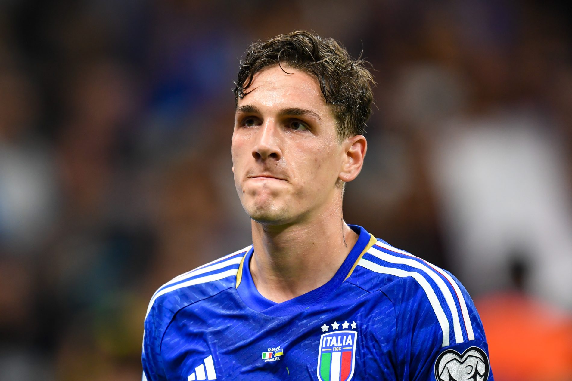 Nicolò Zaniolo - Italia