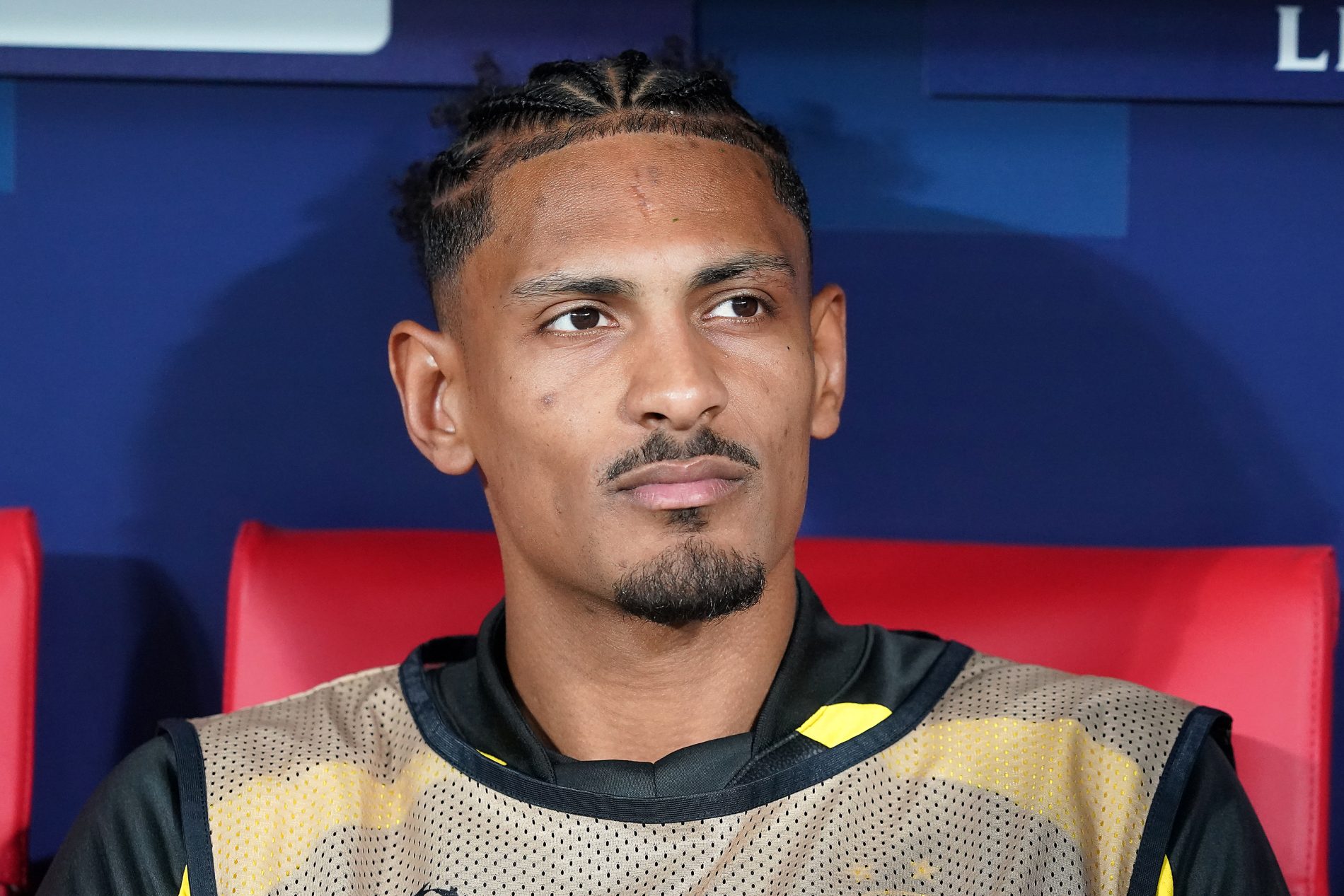 Haller / Borussia Dortmund