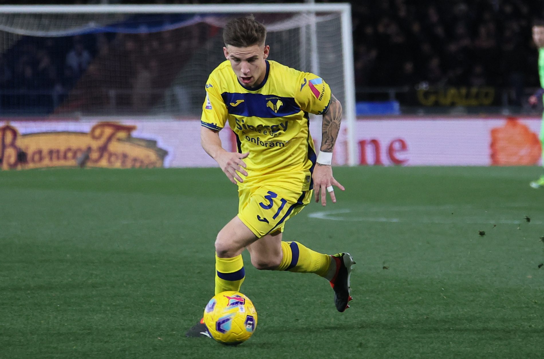 Suslov Hellas Verona