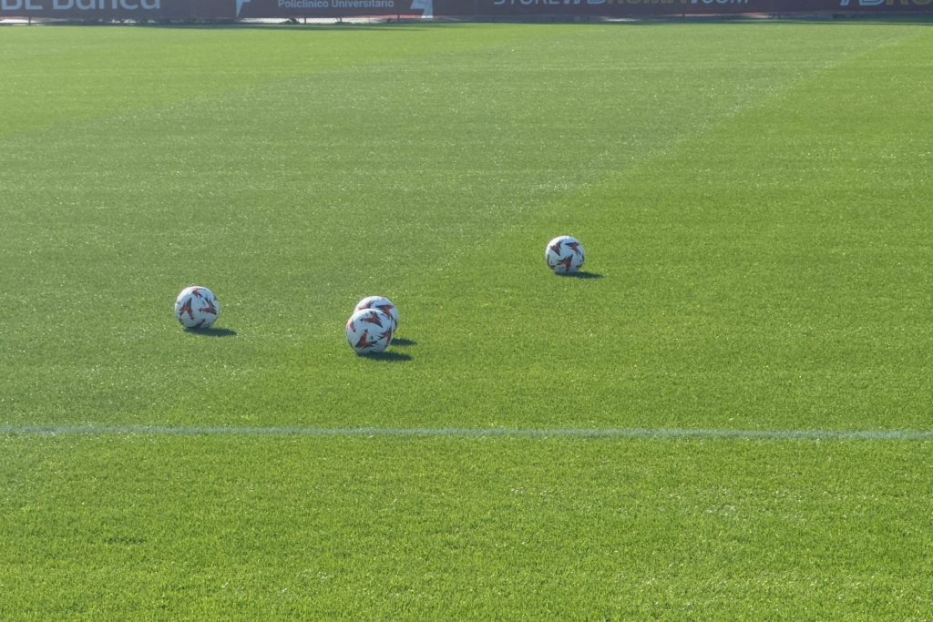 Trigoria
