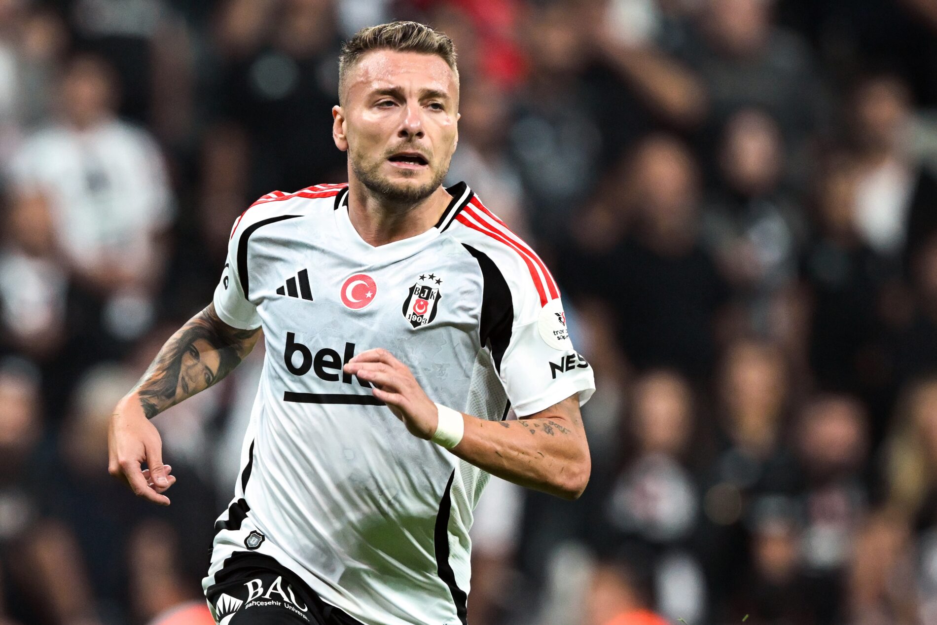 Immobile