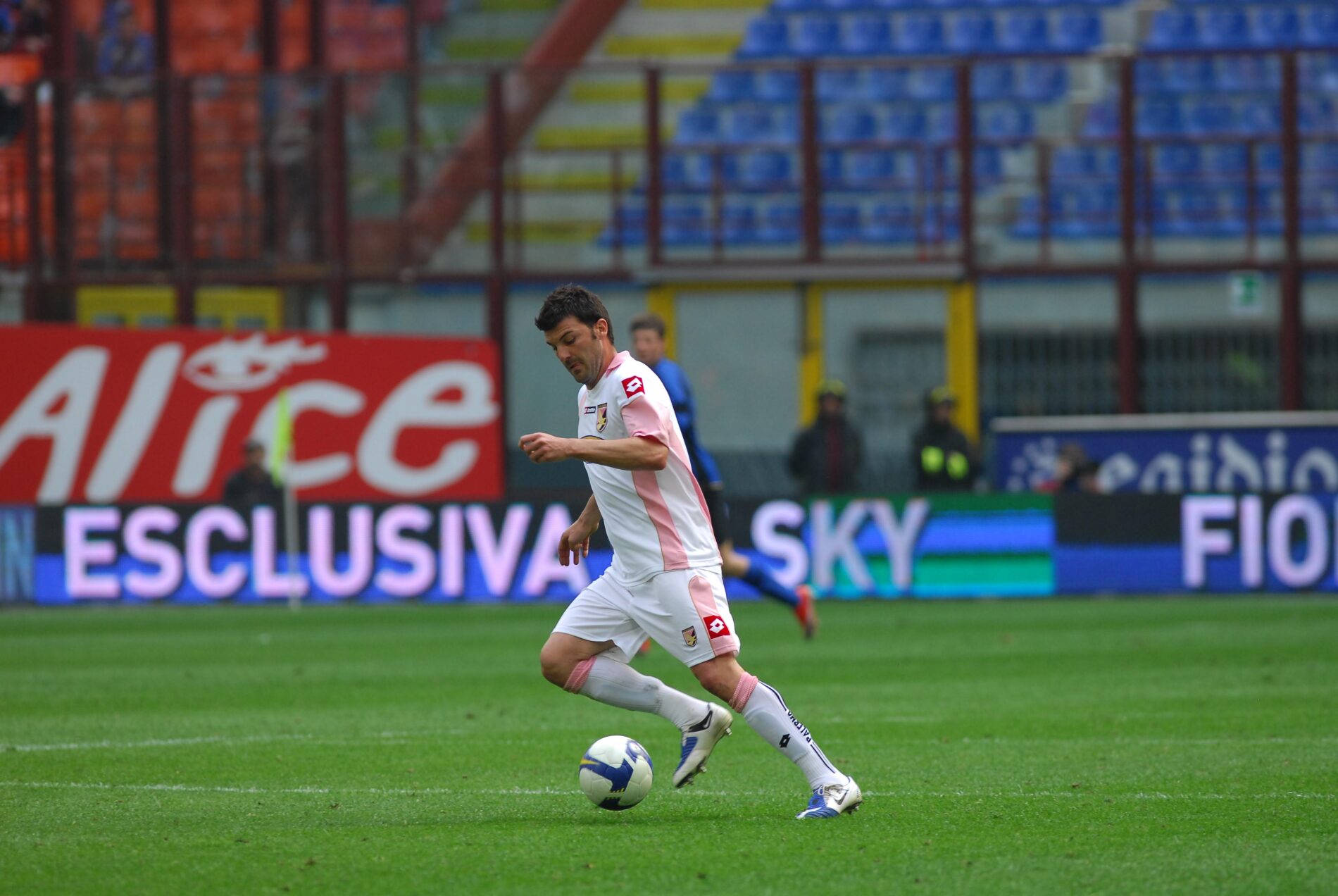 Bovo