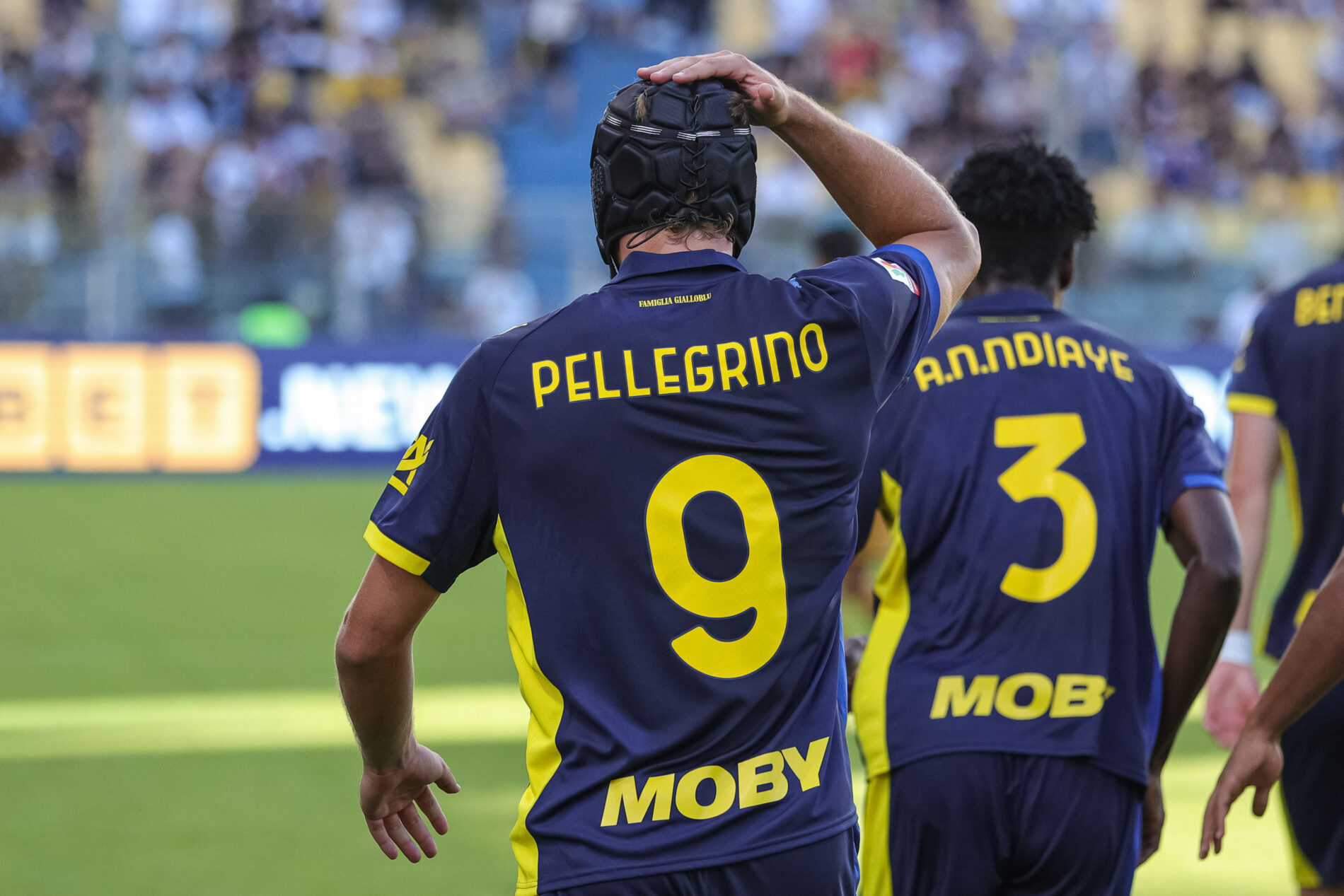 Pellegrino