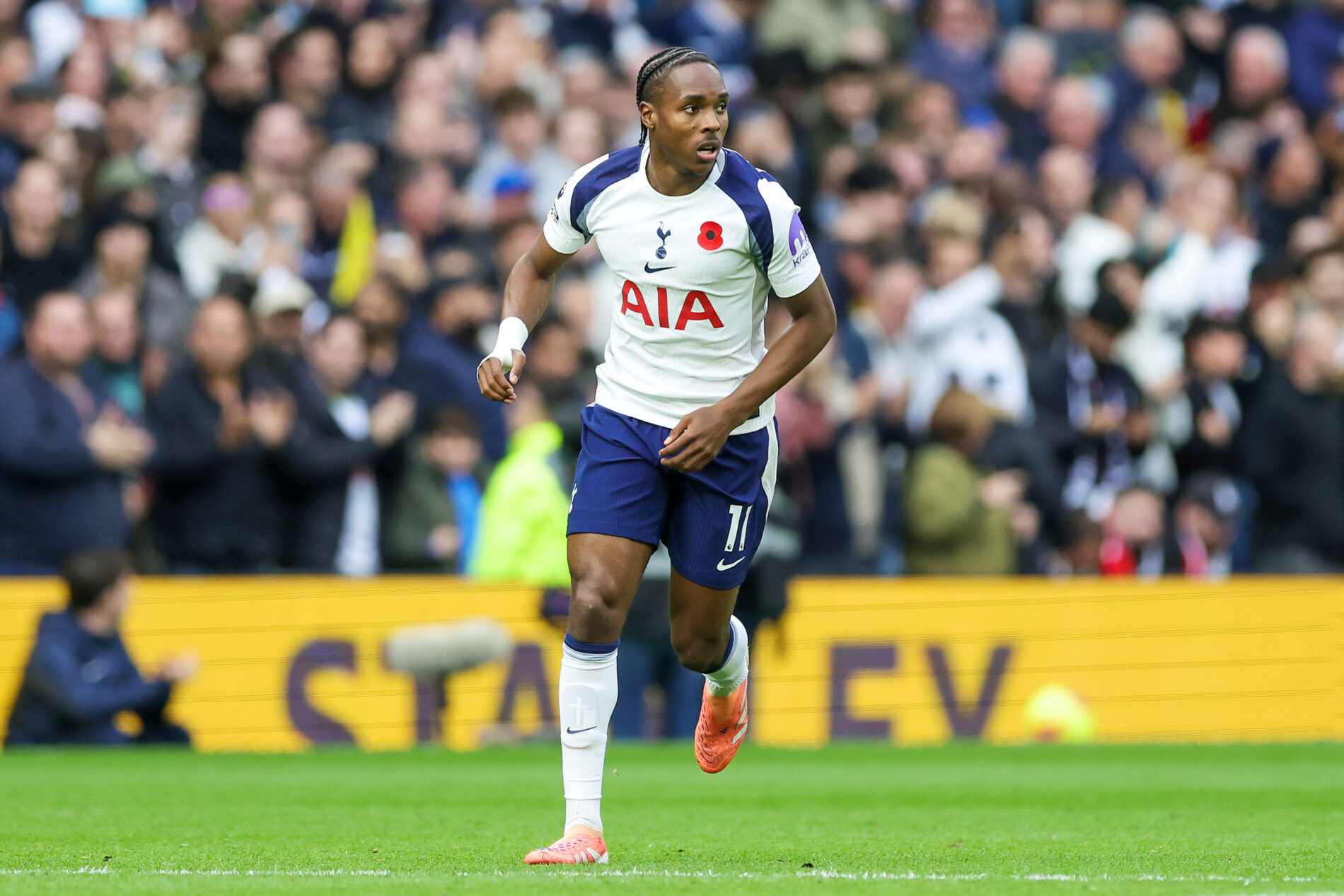 Matthys Tel, Tottenham