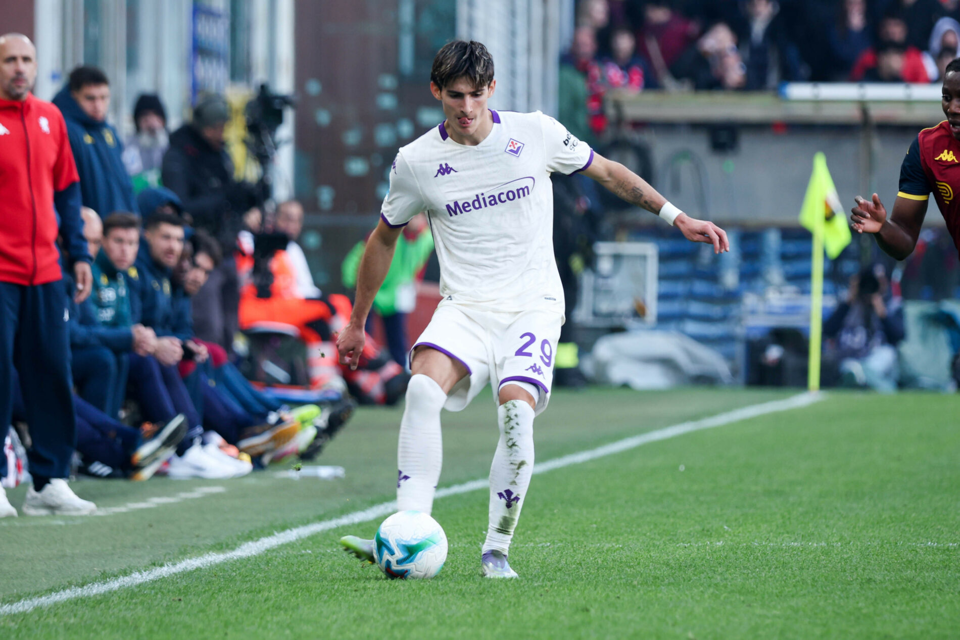 Niccolò Fortini, Fiorentina