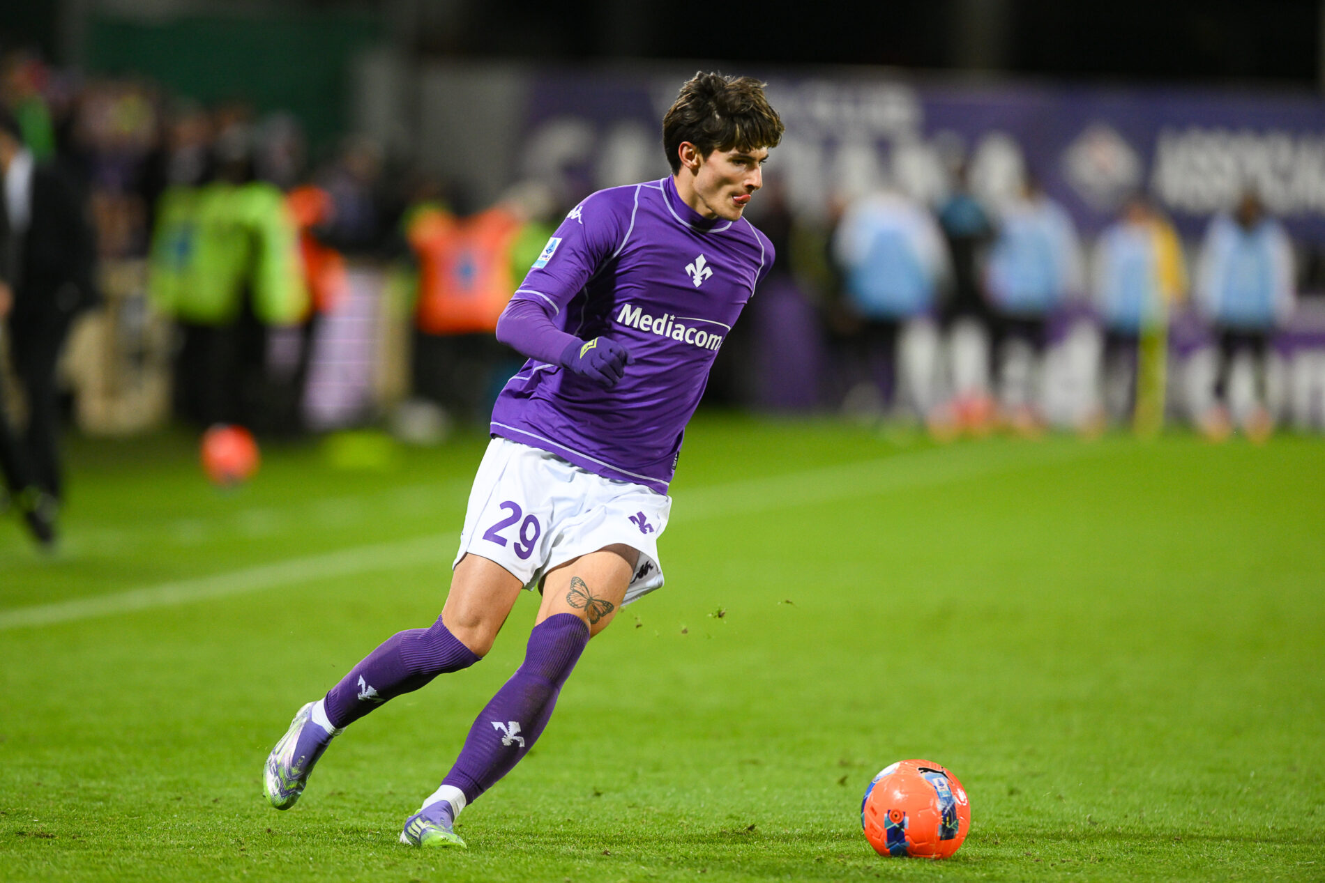 Niccolò Fortini, Fiorentina