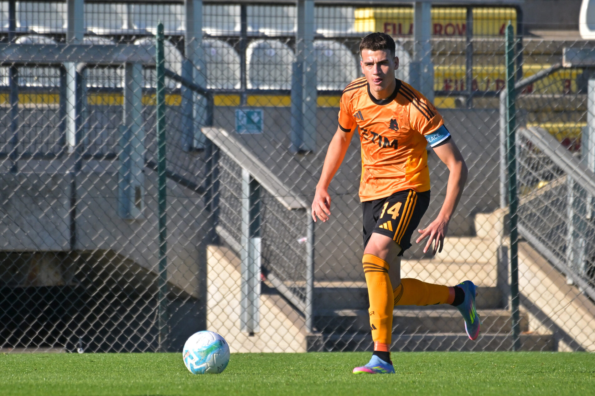 Mirra, Roma Primavera