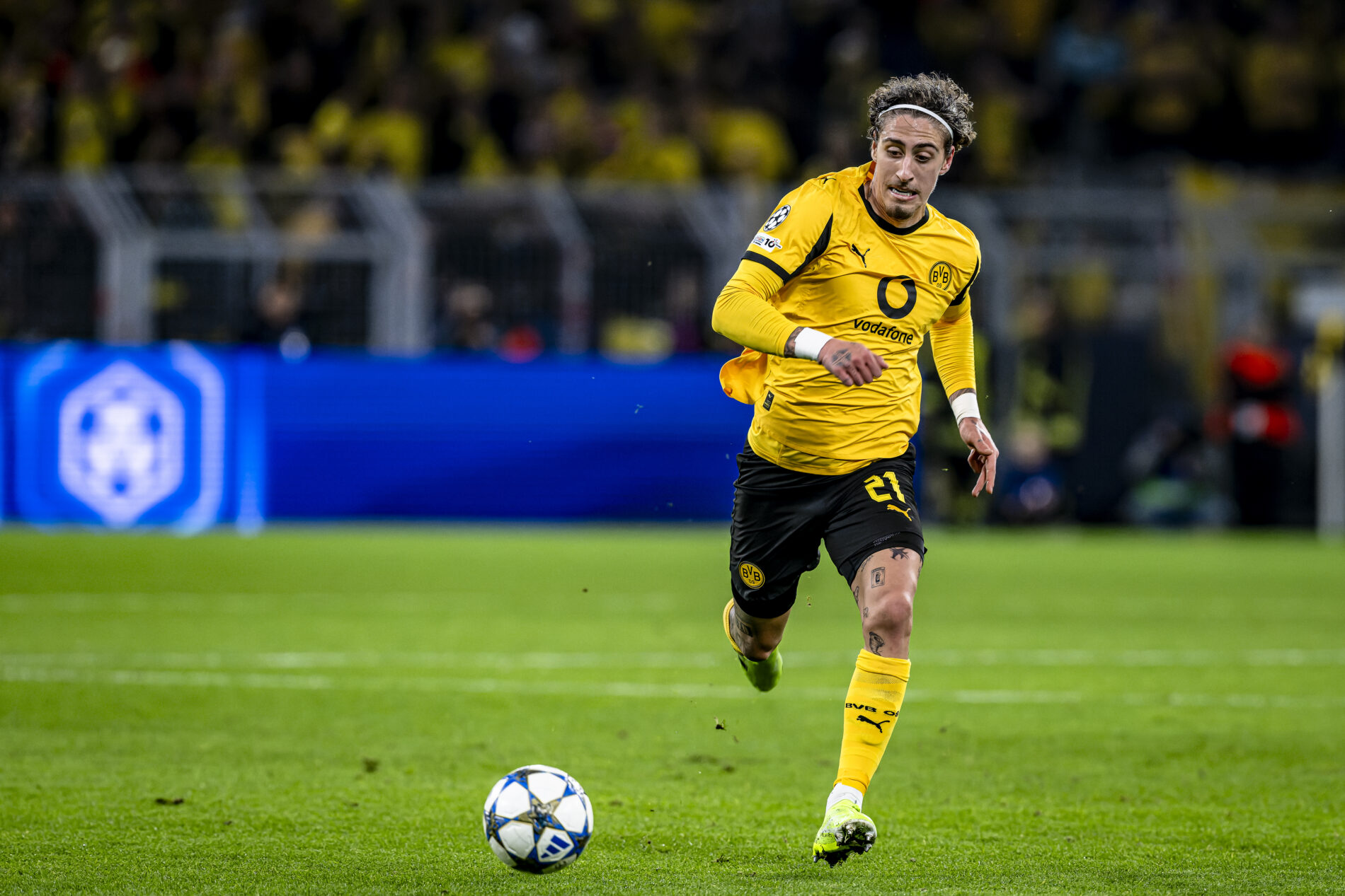 Fabio Silva, Borussia Dortmund
