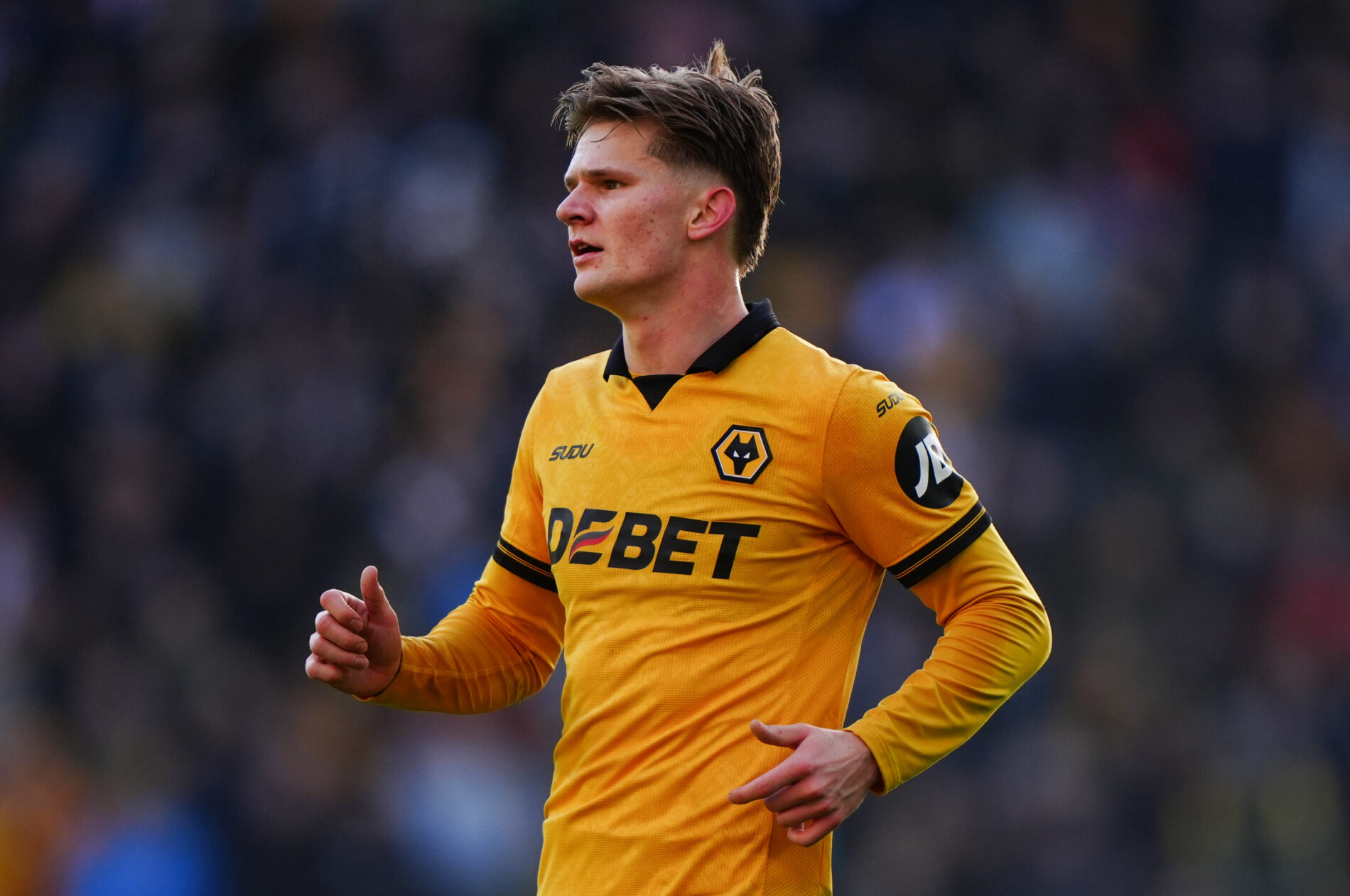 David Møller Wolfe, Wolverhampton