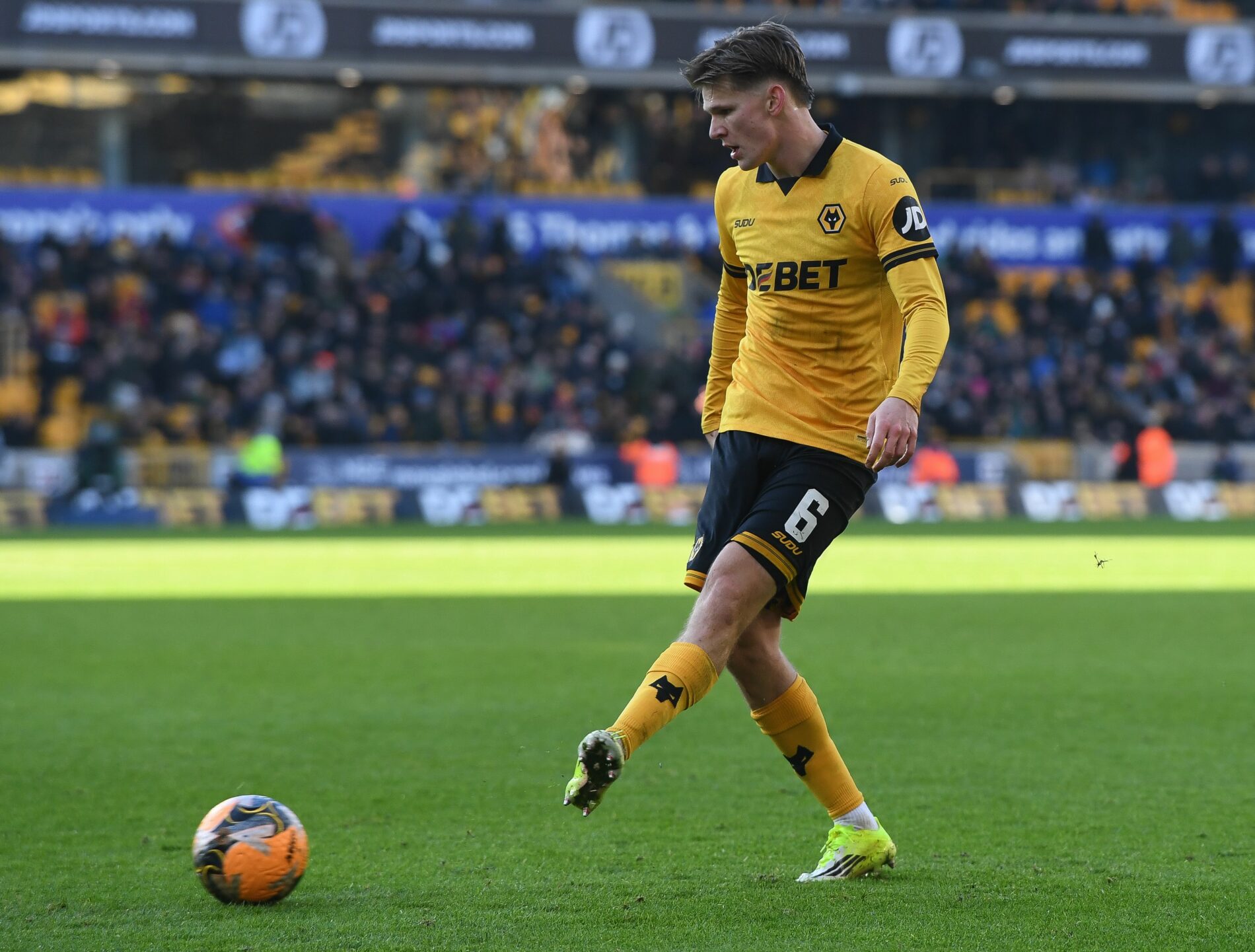 David Moller Wolfe, Wolverhampton