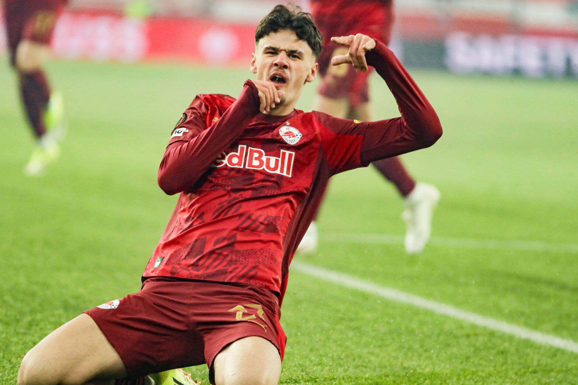 Alajbegovic