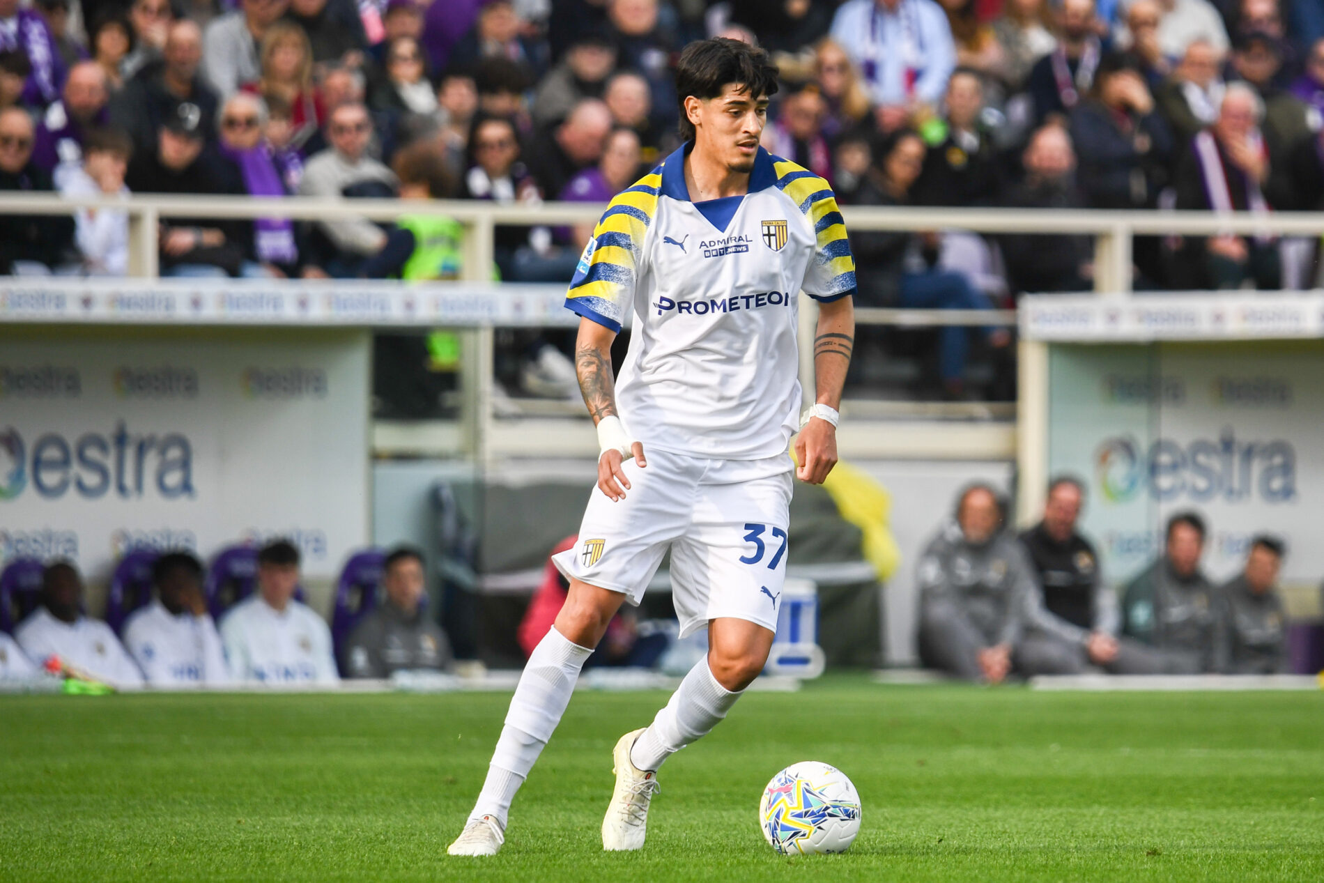 Mariano Troilo, Parma