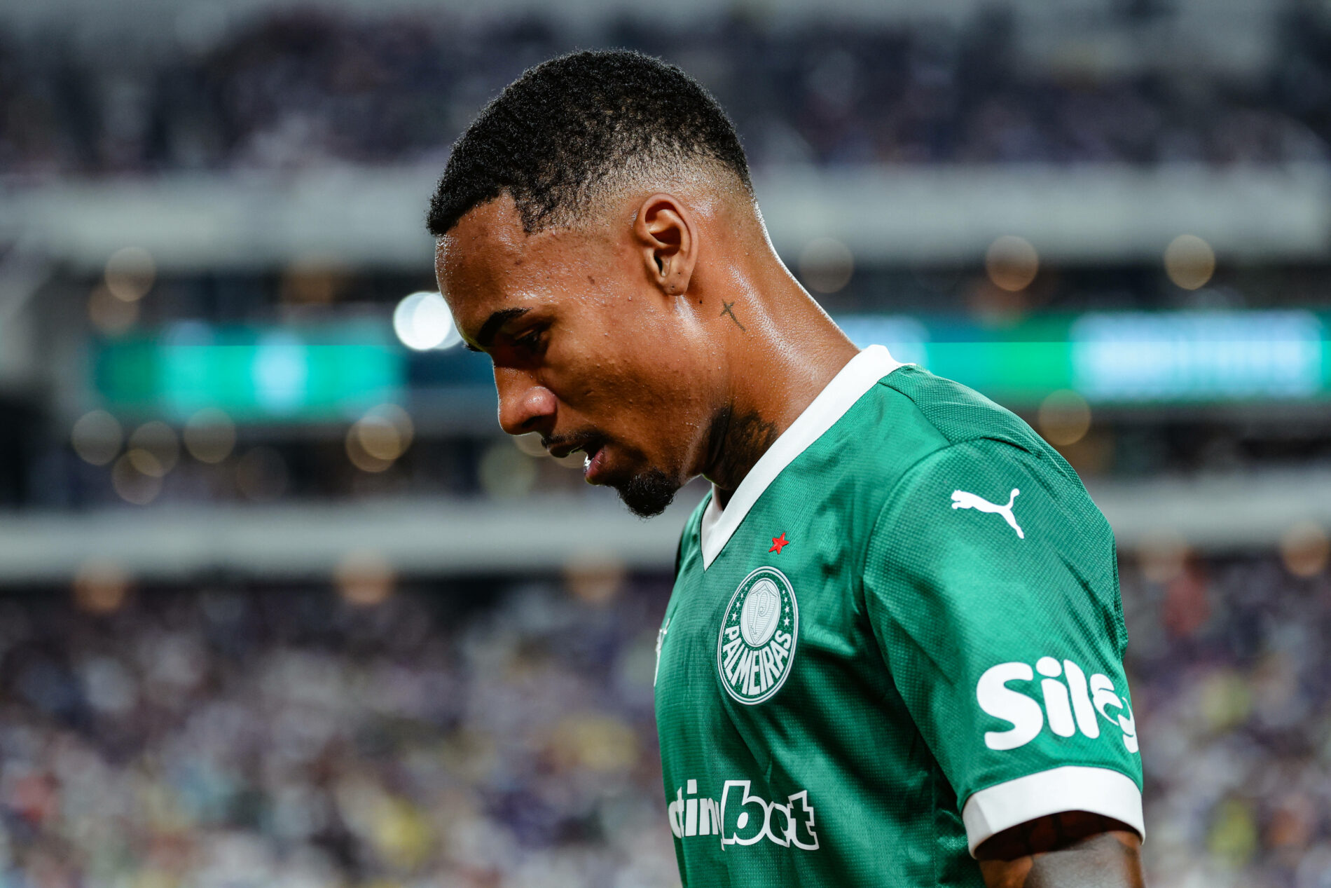 Allan Palmeiras