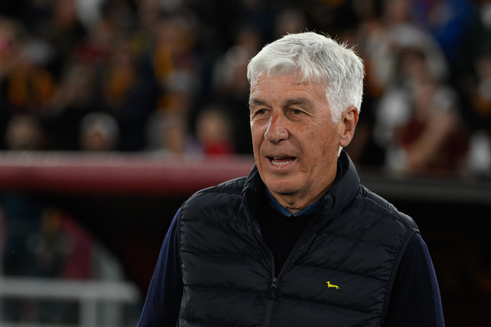 gasperini