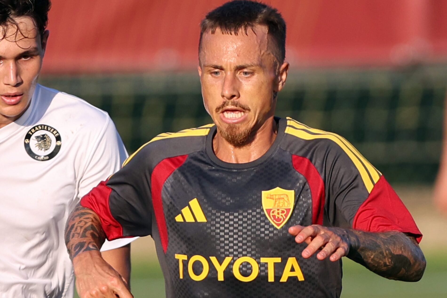 Angelino