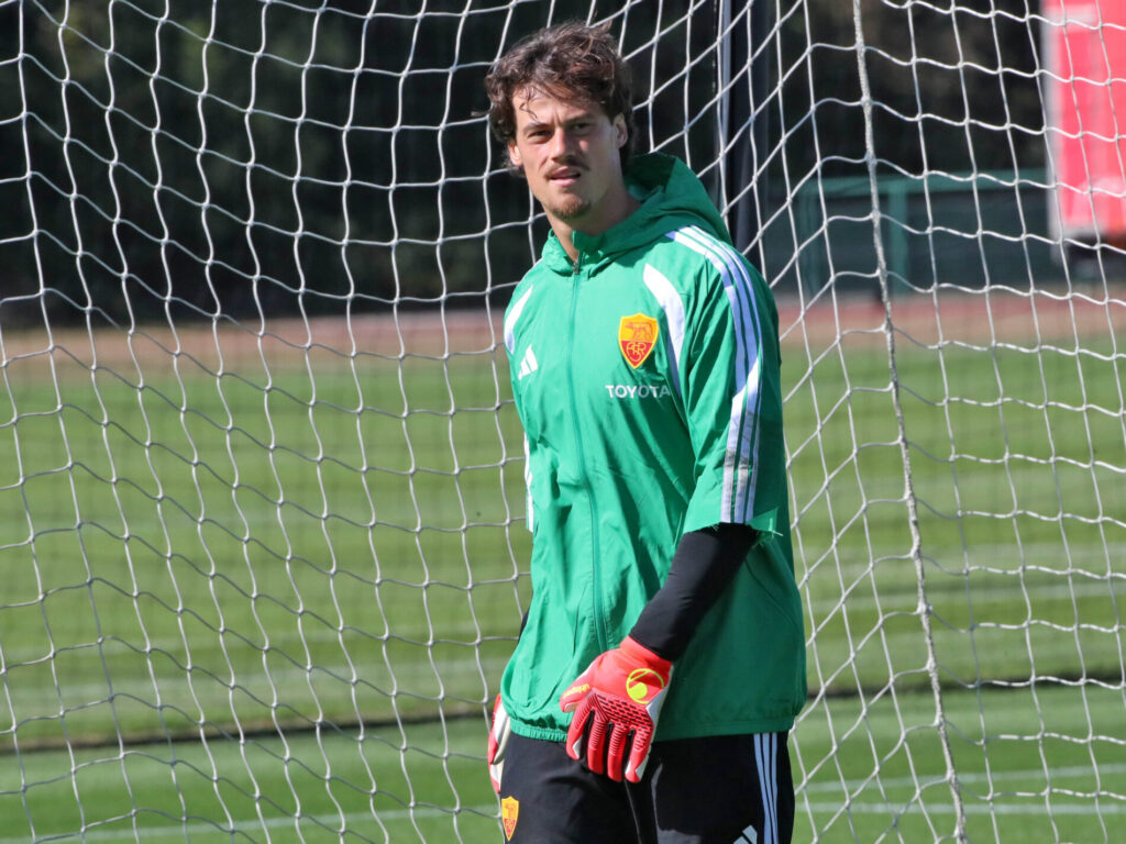 svilar Galles roma