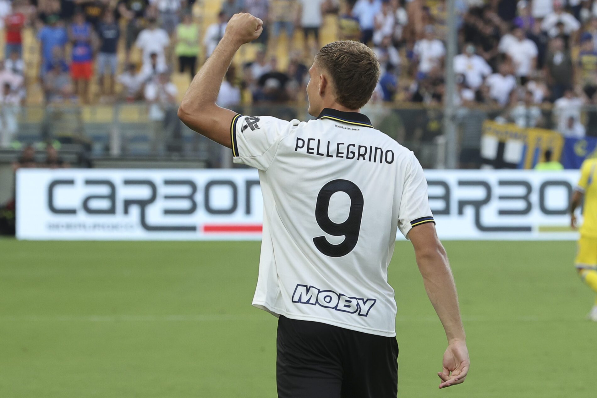 Pellegrino